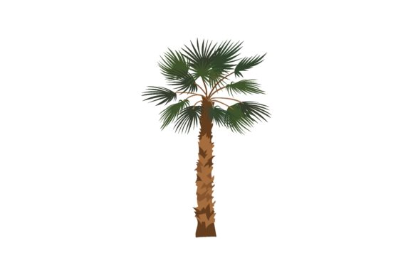 Download Jungle Palm Tree Cartoon Illustration. P - Illustration Collection