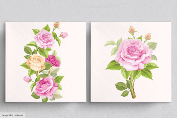 Download Beautiful Roses Hand Drawn Illustrations - Illustration Collection