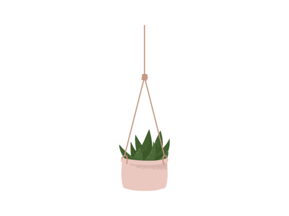 Download House Plant Aloe Hanging Macrame Planter - House Collection
